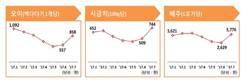 지난달 채소 가격 '껑충'… 오이 한달새 54％ 급등