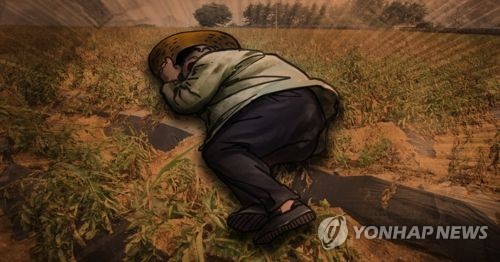 막장폭염… 여기저기 열사병, 가축·어패류 폐사 속출 '재앙수준'