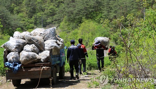 산림청 "2022년까지 산림 분야 일자리 6만개 만든다"