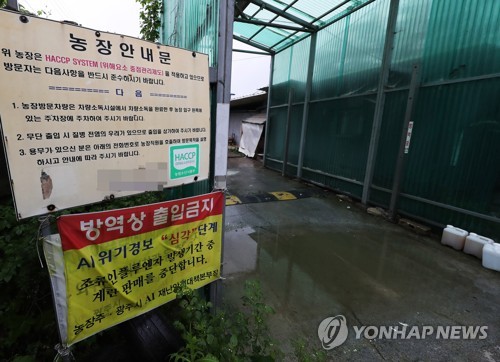 정부, 전국 산란계 농장 1천430여곳 전수조사…민관합동 TF 구성