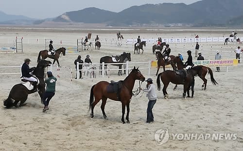 세계잼버리 대회장 새만금은 '바다의 만리장성'