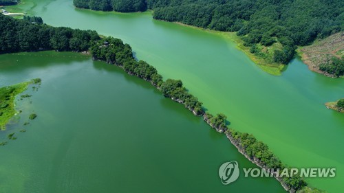 '16년만에 최악' 대청호 녹조 갈수록 악화…수질 비상