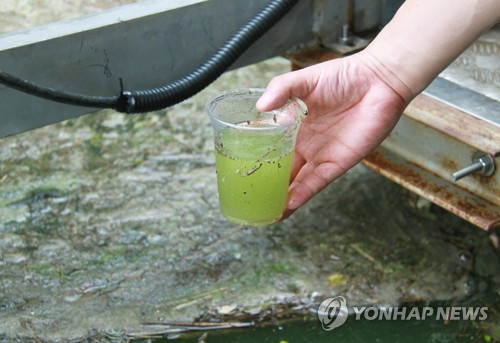 '16년만에 최악' 대청호 녹조 갈수록 악화…수질 비상