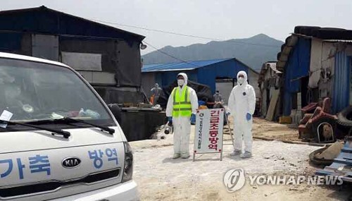 [축산대책 내용은] 농장에 CCTV 설치해 실시간 점검…상시 방역체계 도입