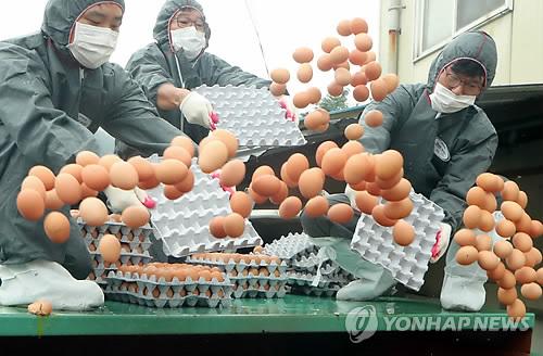 끊이지 않는 먹거리 파동…우지 라면에서 살충제 계란까지