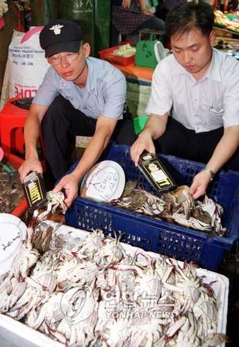 끊이지 않는 먹거리 파동…우지 라면에서 살충제 계란까지