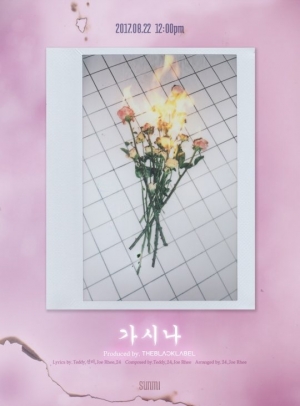 선미, 3년 만의 솔로 앨범 &#39;가시나&#39;.. 더블랙레이블 공동 작업
