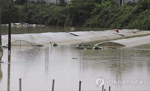 올해 장마 중·남부 강수량 차이 255㎜… 평년의 14배