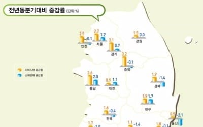 '사드충격' 2분기 제주 中관광객 92%↓… 소매판매 처음 꺾여