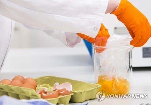 네덜란드 '살충제 계란' 작년 11월 인지 주장에 정치권 '발칵'