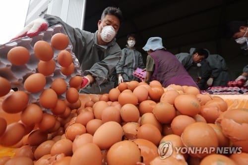 살충제 계란, 사태 발생 안 한 지역에서도 밥상에 오를 수 있다