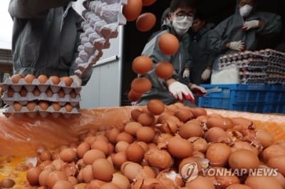 살충제 계란, 플루페녹수론 등 새로운 농약 성분 검출