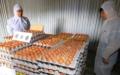 "살충제 계란 정부대응…신뢰 57.3% vs 불신 37.0%"[리얼미터]