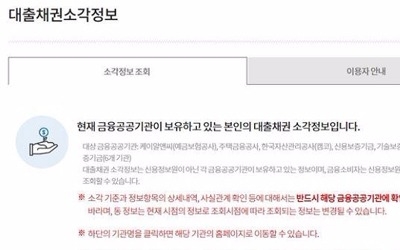 "금융공기관 시효완성 채권소각 완료… 내일부터 인터넷 조회"