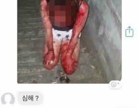 부산 여중생 폭행