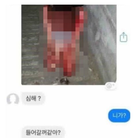 부산여중생폭행사건