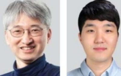 서울대 연구팀, 차세대 '나트륨 양극소재' 개발