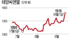 태양씨앤엘, 엔터사업 공개매각키로