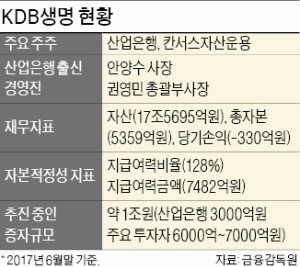 [마켓인사이트] 산업은행, KDB생명 증자용 1조 펀드 추진