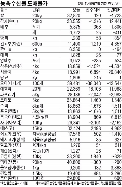 안정됐던 풋고추 값 다시 들썩