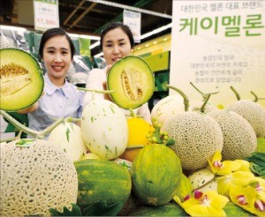 한국의 조합형 공동브랜드 ‘케이멜론’ 