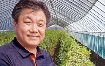 [한경·네이버 FARM] "구기자 시장 키워 농가주름 쫙 폈죠"