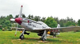 1953년 블랙이글스가 탔던 F-51 무스탕. 