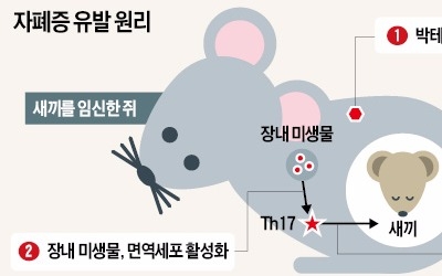 자폐아 출산 원인 밝혀졌다