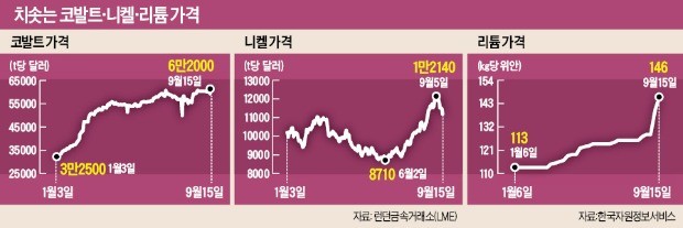 중국, 전세계 리튬 광산 쓸어담는데… 정부는 "공동구매로 대응하라"