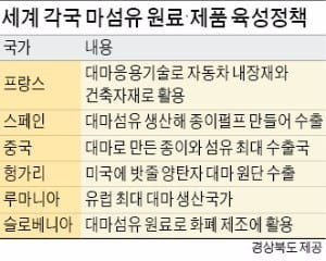 [경북형 4차 산업혁명 현장] 친환경 섬유 활용한 첨단소재 개발… 재도약 나선 경북 섬유산업