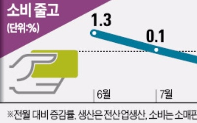 소비·투자 '싸늘'… 경기가 식어간다