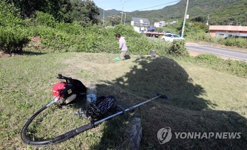 예초기 사고, 벌·진드기 공격에…벌초 대행 증가일로