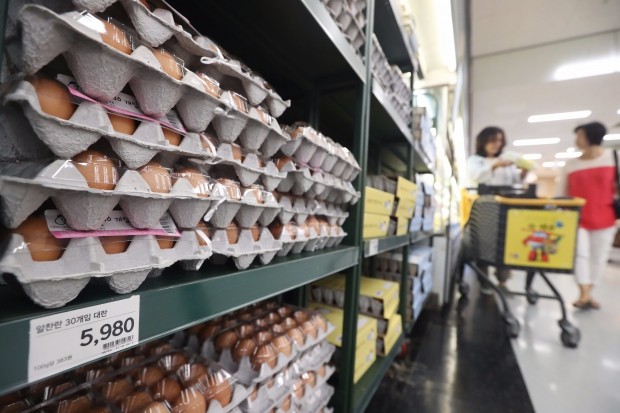 무살충제 판정 농장 계란서도 농약 기준치 24배 검출