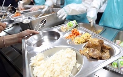 살충제 계란 불안 금값 채소 부담… "학교급식 뭘로 채우나"