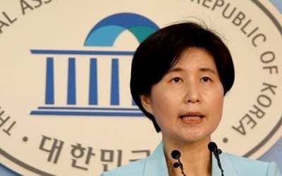 여당 "사드배치, 적절한 대응… 주민 설득에 최선 다해야"