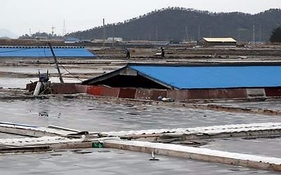 법원 "경찰 도움 못받은 '염전노예' 피해자 국가가 배상해야"