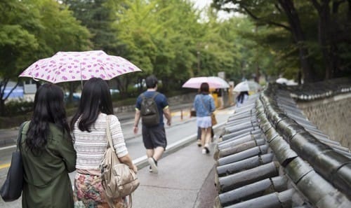 대전·세종, 충남 일부에 '호우주의보'… 세종 62mm