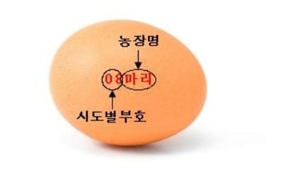 내달부터 달걀 껍데기에 산란일자·사육환경 표시된다