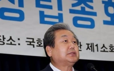 김무성 "바른정당 분열하면 안 돼… 보수 대결집 해야"