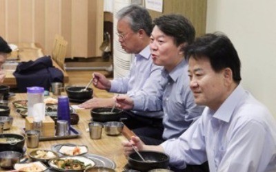 안철수, 靑회동 대비 중진들에 조언 구해… 외교안보팀 교체 요구할듯