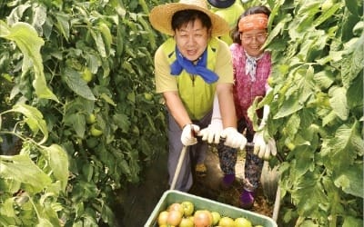  '스마트팜' 활용… 농업인 금융 지원...핀테크 앱 '올원뱅크' 100만명 가입