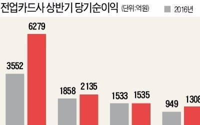  일회성 요인으로 실적 좋아진 카드사… 해외시장·핀테크 개척에 승부수