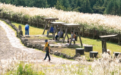 제주 산굼부리 억새