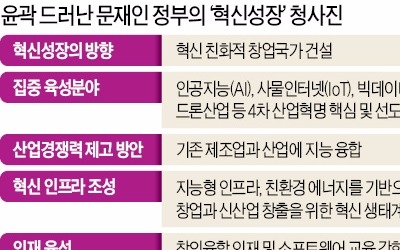 "규제 하나라도 더 없애야 기술 혁신·창업 활성화 가능"