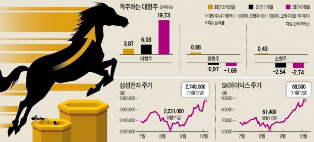 증시 최고가 행진에도…대형주 못 올라탄 개미들 '한숨'