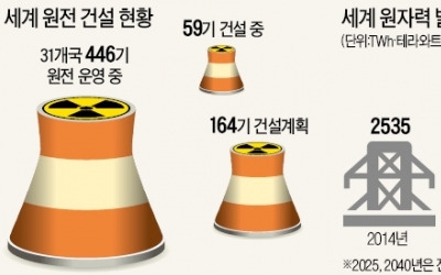  "원전은 반도체 이을 성장동력…2035년까지 800조 시장 열린다"