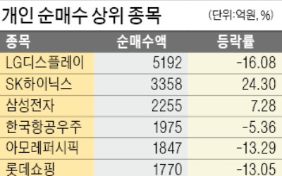 기관 21%·외국인 5% 수익낼 때…개인은 '마이너스'