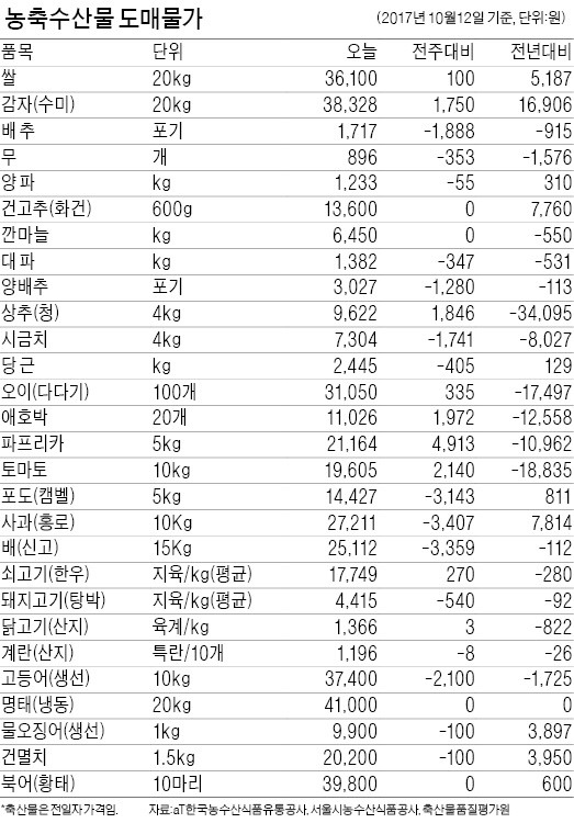 [농수산물 시세] 고랭지무 1년 만에 '반값'