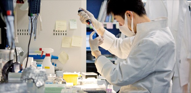 일본 교토대 iPS세포연구소 연구원이 유도만능줄기세포 연구를 하고 있다.  /교토대 iPS세포연구소 제공