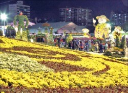 지난해 열린 마산가고파국화축제.   